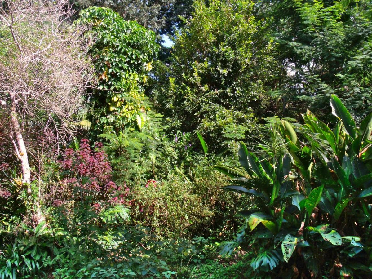 Hotel Curitiba Campo Comprido Bagian luar foto