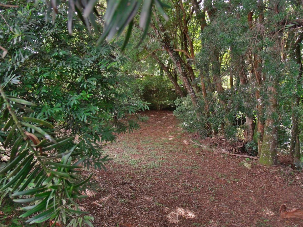 Hotel Curitiba Campo Comprido Bagian luar foto